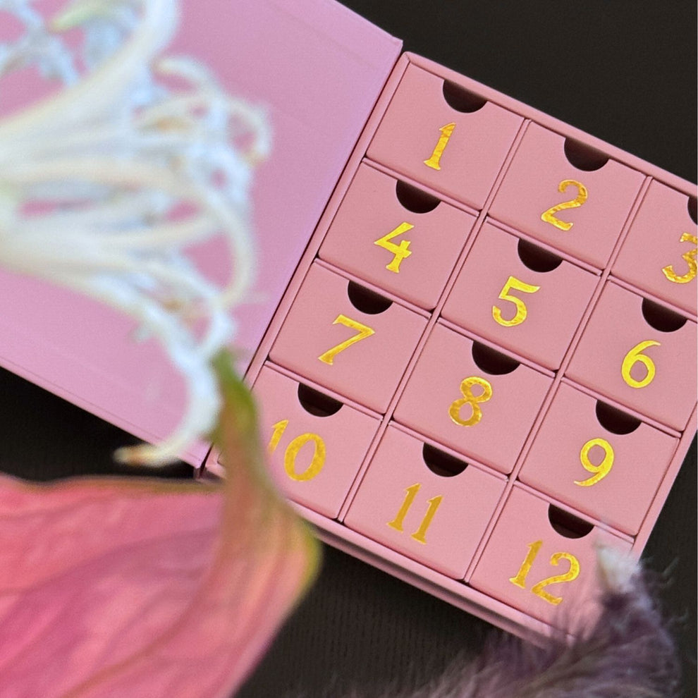 Elyvane™ Pink Noël — Calendrier de l’Avent Rose à 12 Compartiments
